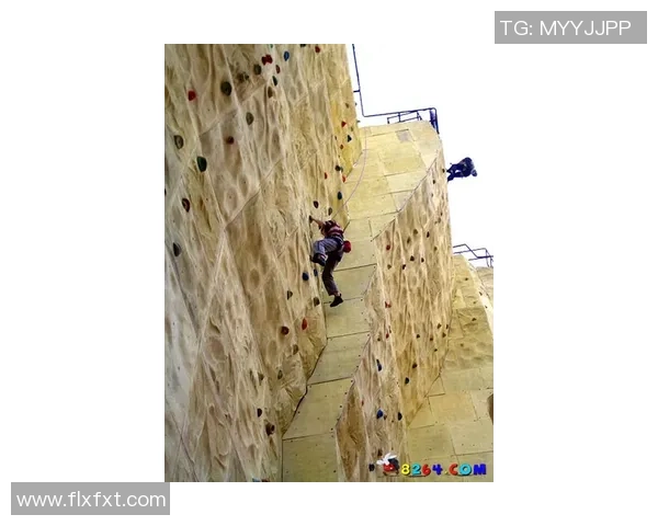 北京攀岩队与南京攀岩队耐力对决赛后分析与反思