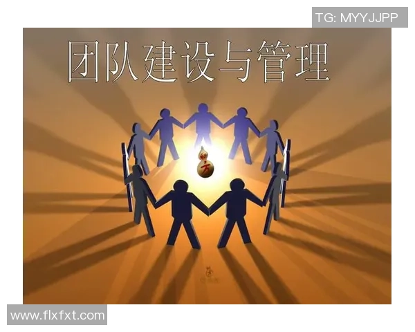 武汉攀岩队运营革新探索：从管理模式到团队建设的全方位提升